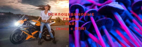 apvp Арсеньев