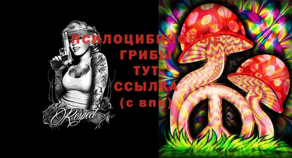 мдпв Армянск