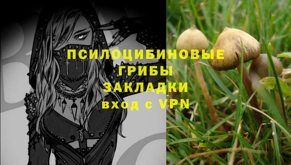 мдпв Армянск